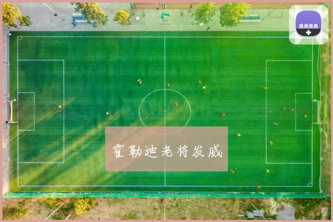霍勒迪老将发威
