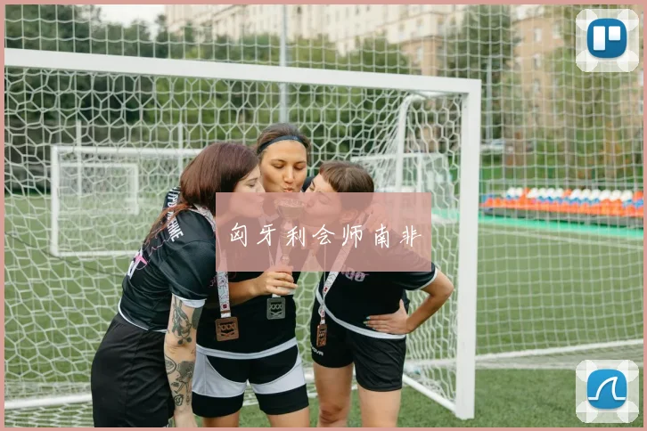 匈牙利会师南非