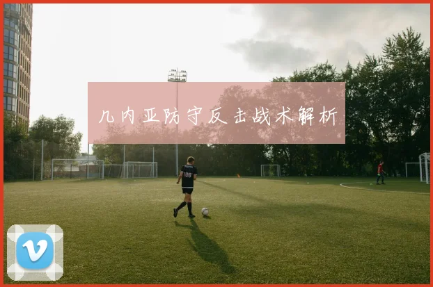 几内亚防守反击战术解析