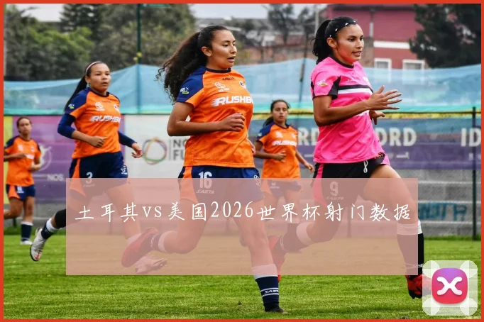 土耳其vs美国2026世界杯射门数据